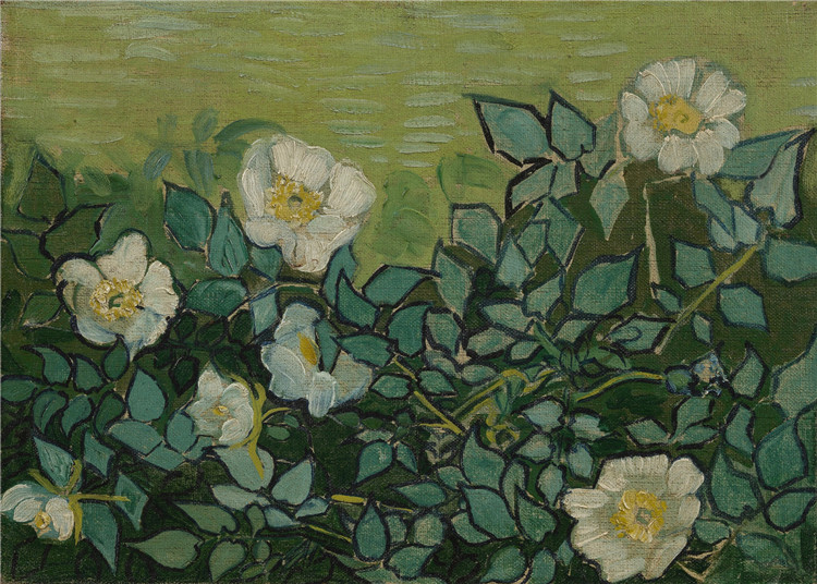 Wild Roses Vincent Willem Van Gogh Oil Painting